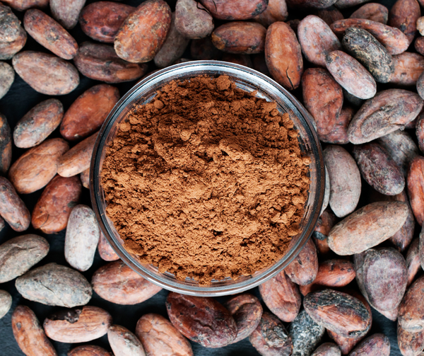 Cacao en polvo y sus beneficios para la salud