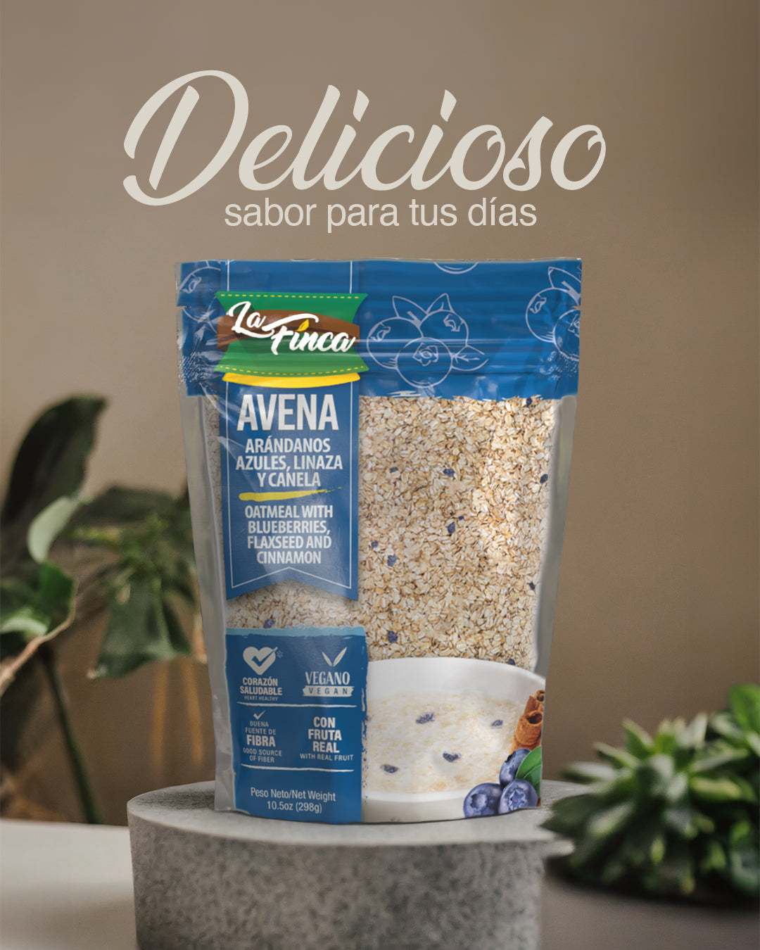 Avena Blueberries, Flaxseed y Canela