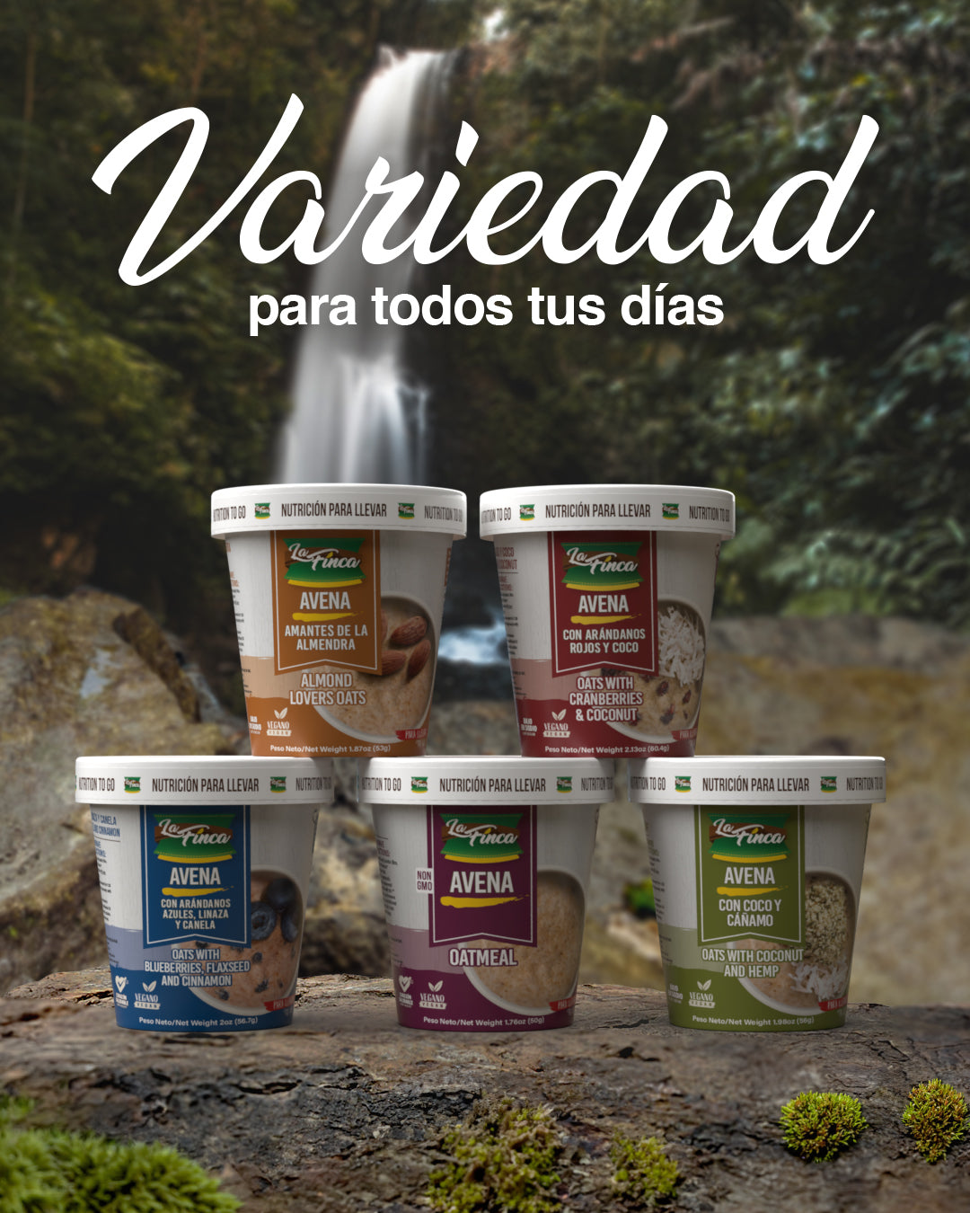 Avena Instantánea con Coco y Cáñamo Single Serve Cup